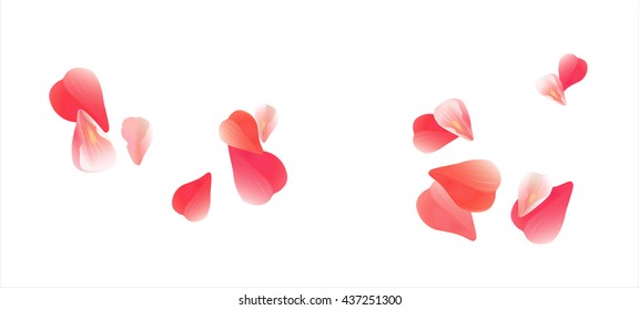 Flowers design. Flowers petals. Sakura Flying Red petals isolated on white background. Petals Roses Flowers. Vector