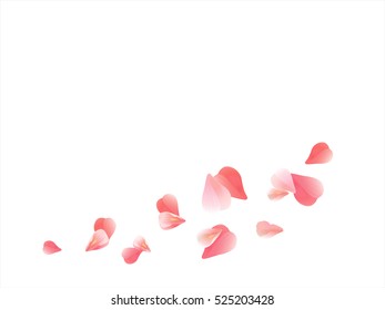 Flowers design. Flowers petals. Sakura flying petals isolated on white background. Petals Roses Flowers. Vector