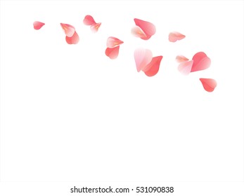 Flowers design. Flowers petals. Sakura flying petals isolated on white background. Petals Roses Flowers. Vector