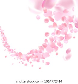 Flowers design. Flowers petals wallpaper. Sakura flying petals isolated on white background. Petals Roses Flowers. Vector illustration