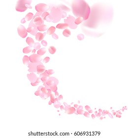 Flowers design. Flowers petals wallpaper. Sakura flying petals isolated on white background. Petals Roses Flowers. Vector illustration