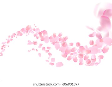 Flowers design. Flowers petals wave. Sakura flying petals isolated on white background. Petals Roses Flowers. Vector illustration