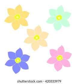 Flowers of different colors