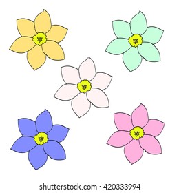 Flowers of different colors
