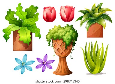 Flores y diferentes tipos de macetas