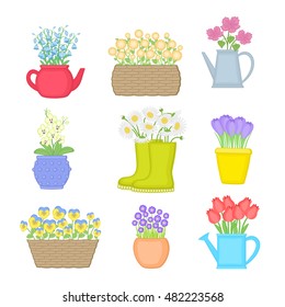 Flowers in different pots on white background