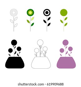 Flowers in different vases