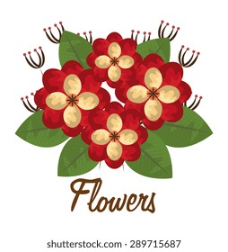 Flowers digital design, vector illustration eps 10.