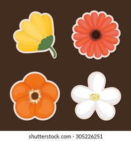 Flowers digital design, vector illustration eps 10.