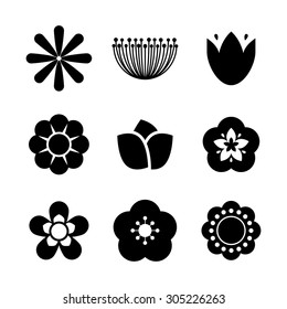 Flowers digital design, vector illustration eps 10.