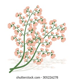 Flowers digital design, vector illustration eps 10.