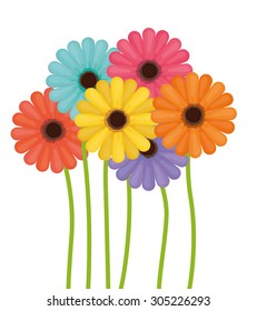 Flowers digital design, vector illustration eps 10.