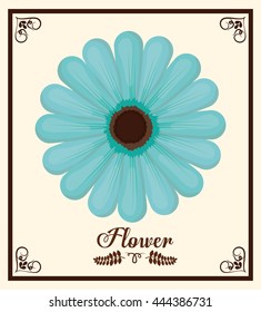 Flowers digital design, vector illustration eps 10.