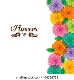 Flowers digital design, vector illustration eps 10.