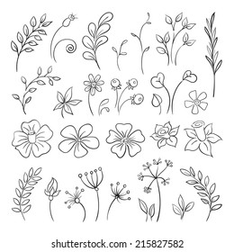 Flowers Doodle elements for design. Vector illustration