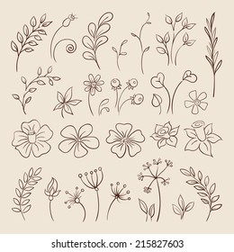 Flowers Doodle elements for design. Vector illustration