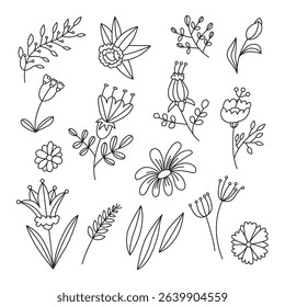 Flowers doodle set. Beautiful flower with hand drawn floral elements. Blossom botanical vector illustrations for decor, easter, print or textile design