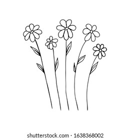 Flowers in doodle style hand-drawn for greeting cards, festive decoration.