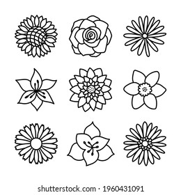 Flowers. Doodle vector set. Hand drawn line sketch floral collection. Chamomile, rose, sunflower, aster, amaryllis, daffodil, lotus, lily and gerbera