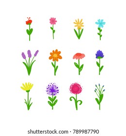 Flowers doodles set, vector illustration