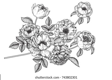 flowers drawing with line-art on white backgrounds.