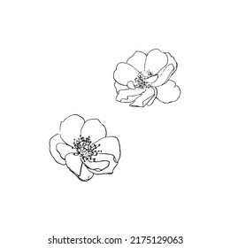  Dibujo de flores con arte vectorial de arte lineal sobre fondo blanco.