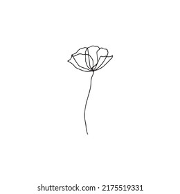 Flowers drawing with line-art vector art on white backgrounds.