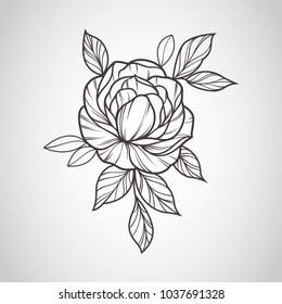 Flowers drawing and sketch with line-art 