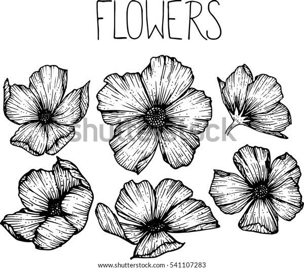 Blumenmuster Zeichnen