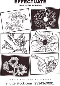 flowers drawn with frame slogan Vector design for t-shirt graphics, banner, fashion prints, slogan tees, stickers, flyer, posters and other creative uses	
