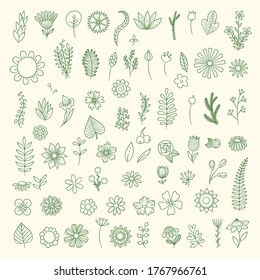 Flowers drawn. Minimalistic bouquet organic flowers leaves branches simple tattoo vector templates oriental collection