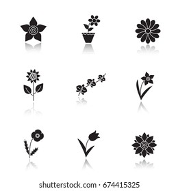 Flowers drop shadow black glyph icons set. Lotus, crocus, chamomile, sunflower, daffodils, orchid branch, tulip, poppy. Isolated vector illustrations