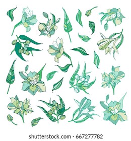 Flowers element design for you. Eucalyptus and alstroemeria.