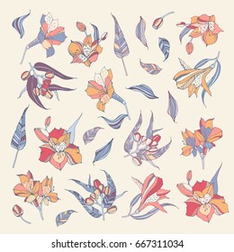 Flowers element design for you. Eucalyptus and alstroemeria.
