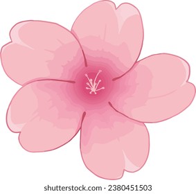 Flowers elements. Hand drawn vector illustration.