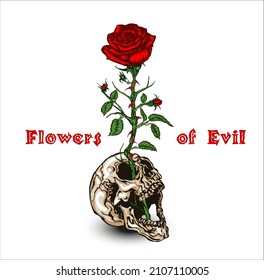 Flowers of Evil. Hand drawn vector illustration of skull and red rose growing from it in the style of vintage tattoo designs.