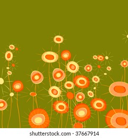 flowers field