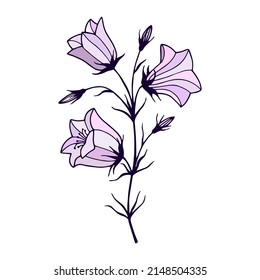 Flowers Field Bells. Vector stock illustration eps10. Outline, hand drawing. Isolate on a white background. 