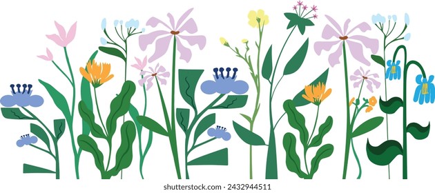 Flowers, field plants. Spring floral herbs, blooming wildflowers. Blossomed summer stems. Gentle delicate fragile meadow flora composition. Flat vector illustration isolated on white background