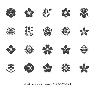 Flowers flat glyph icons. Beautiful garden plants - sunflower, poppy, cherry flower, lavender, gerbera, plumeria, hydrangea blossom. Signs for floral store. Solid silhouette pixel perfect 64x64.