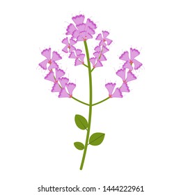 Flowers flat icon, wild flowers, plant vector illustration isolated on white background