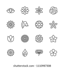 Flowers flat line icons. Beautiful garden plants - chamomile, sunflower, rose flower, lotus, carnation, dandelion, violet blossom. Thin signs for floral store. Pixel perfect 48x48. Editable Strokes