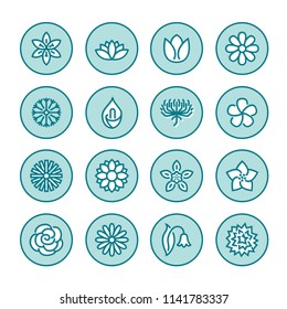Flowers flat line icons. Beautiful garden plants - chamomile, sunflower, rose flower, lotus, carnation, dandelion, violet blossom. Thin signs for floral store.
