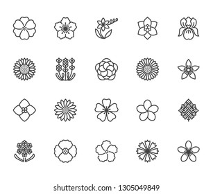 Flowers flat line icons. Beautiful garden plants - sunflower, poppy, cherry flower, lavender, gerbera, plumeria, hydrangea blossom. Thin signs for floral store. Pixel perfect 64x64. Editable Strokes
