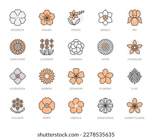 Flowers flat line icons. Garden plants - sunflower, poppy, cherry, gardenia, lavender, gerbera, plumeria, hydrangea, freesia blossom. Thin sign for floral store. Orange color. Editable Stroke