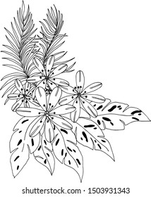 Flowers Flora Hand Drawn Vector