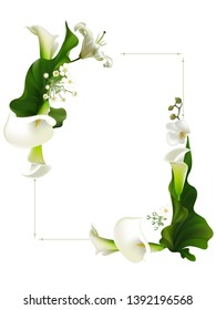 Flowers. Floral background. Callas. White orchids. Green leaves. Lilies. Border.