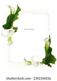 Flowers. Floral background. Green leaves. Border. Callas.