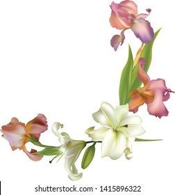 Flowers. Floral background. Irises. Pink.  Leaves. Lilies. Border. White. Green. Pattern.