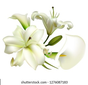 Flowers. Floral background. Lilies. White. Green leaves. Callas.